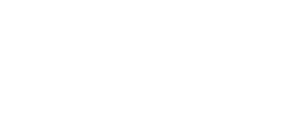 Dulux Logo