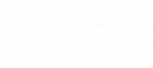 NSW Government Logo