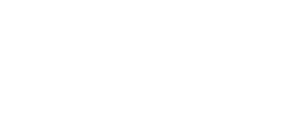 V2 White Logo